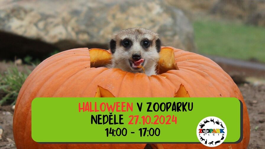 Halloween v Zooparku Zelčín