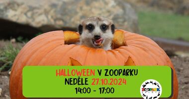 Halloween v Zooparku Zelčín