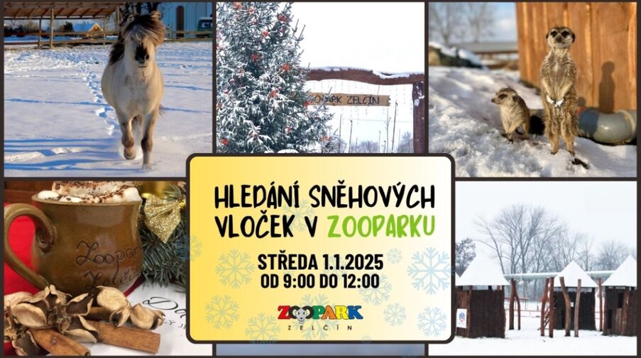 HLEDÁNÍ SNĚHOVÝCH VLOČEK V ZOOPARKU